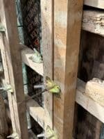 Ιταλική Πεταλούδα Καλουπιού Ελατηρίου Τύπου Clip – Σφιγκτήρας Φουρκέτας Υψηλής Αντοχής - Εικόνα 2